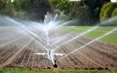 L’Utilità degli Impianti di Irrigazione